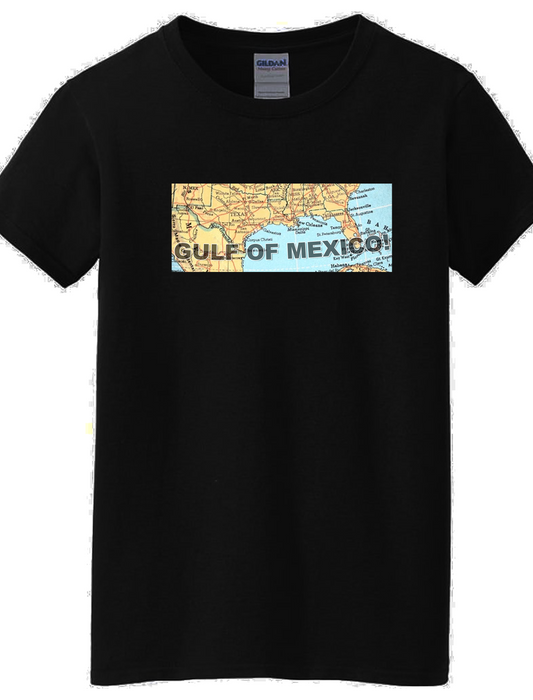 Historic Gulf of Mexico Map T‑Shirt – A Quiet Statement