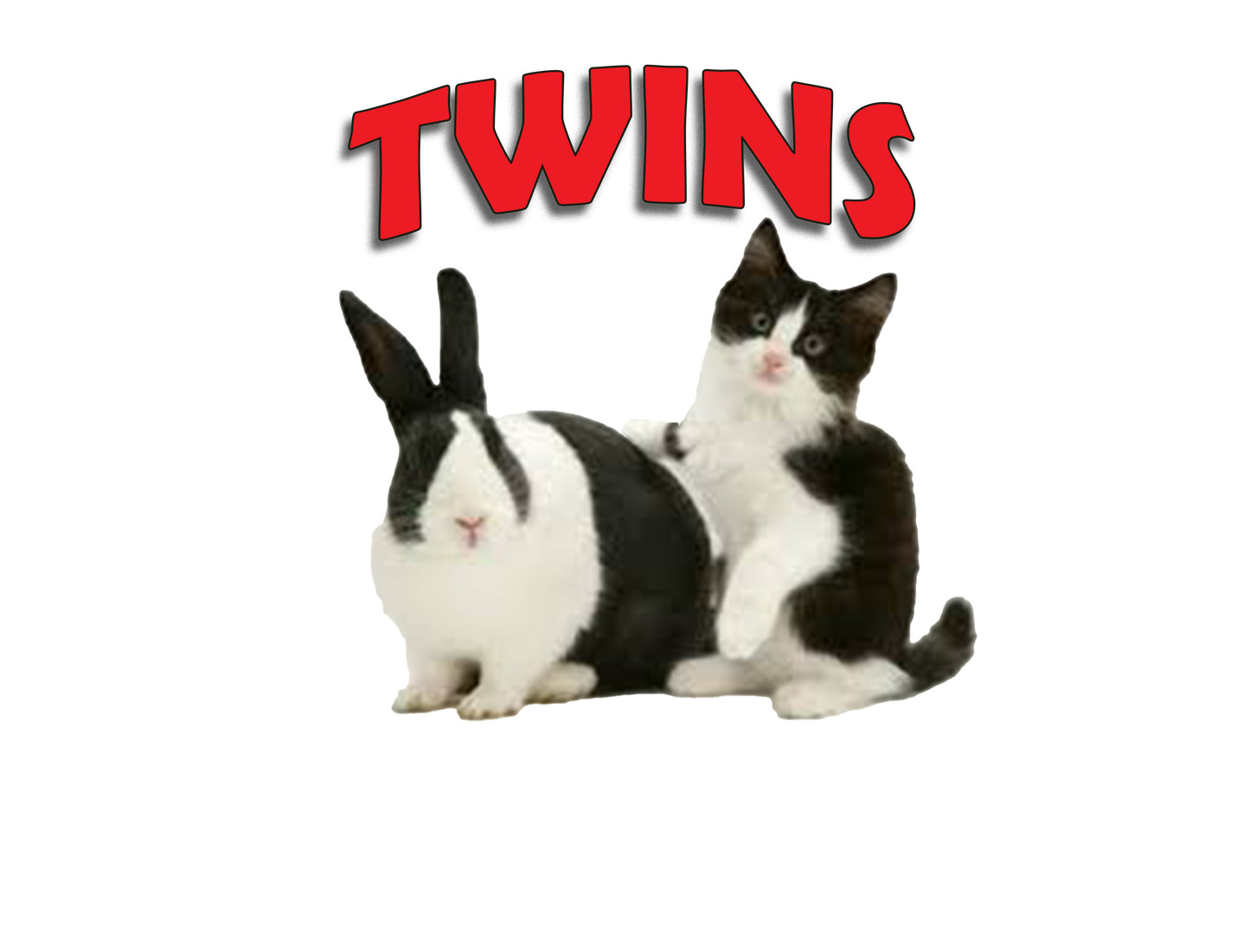 TWINS cute kitten and bunny rabbit Women's fitted t-shirt White